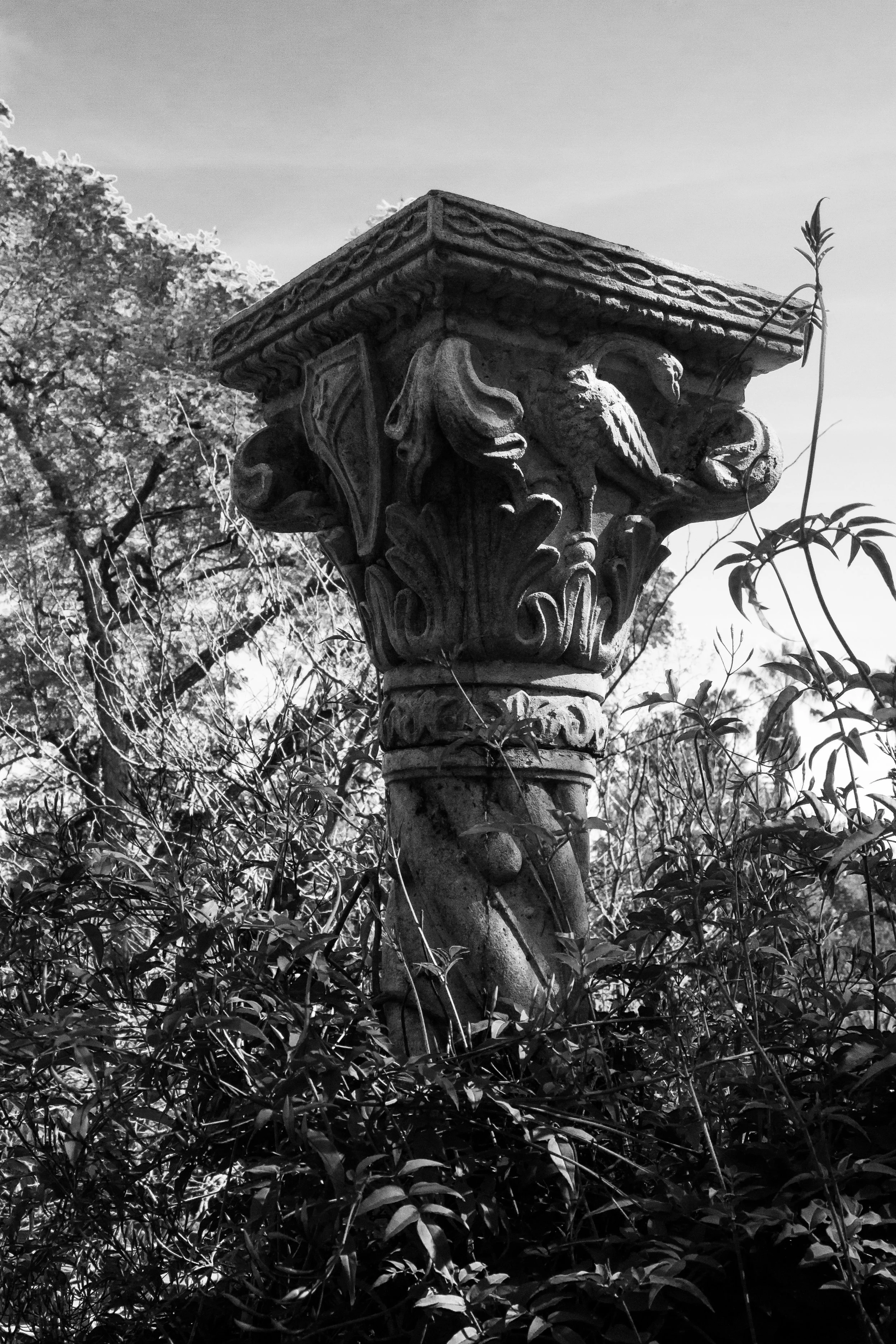 Arlington Gardens (2018)