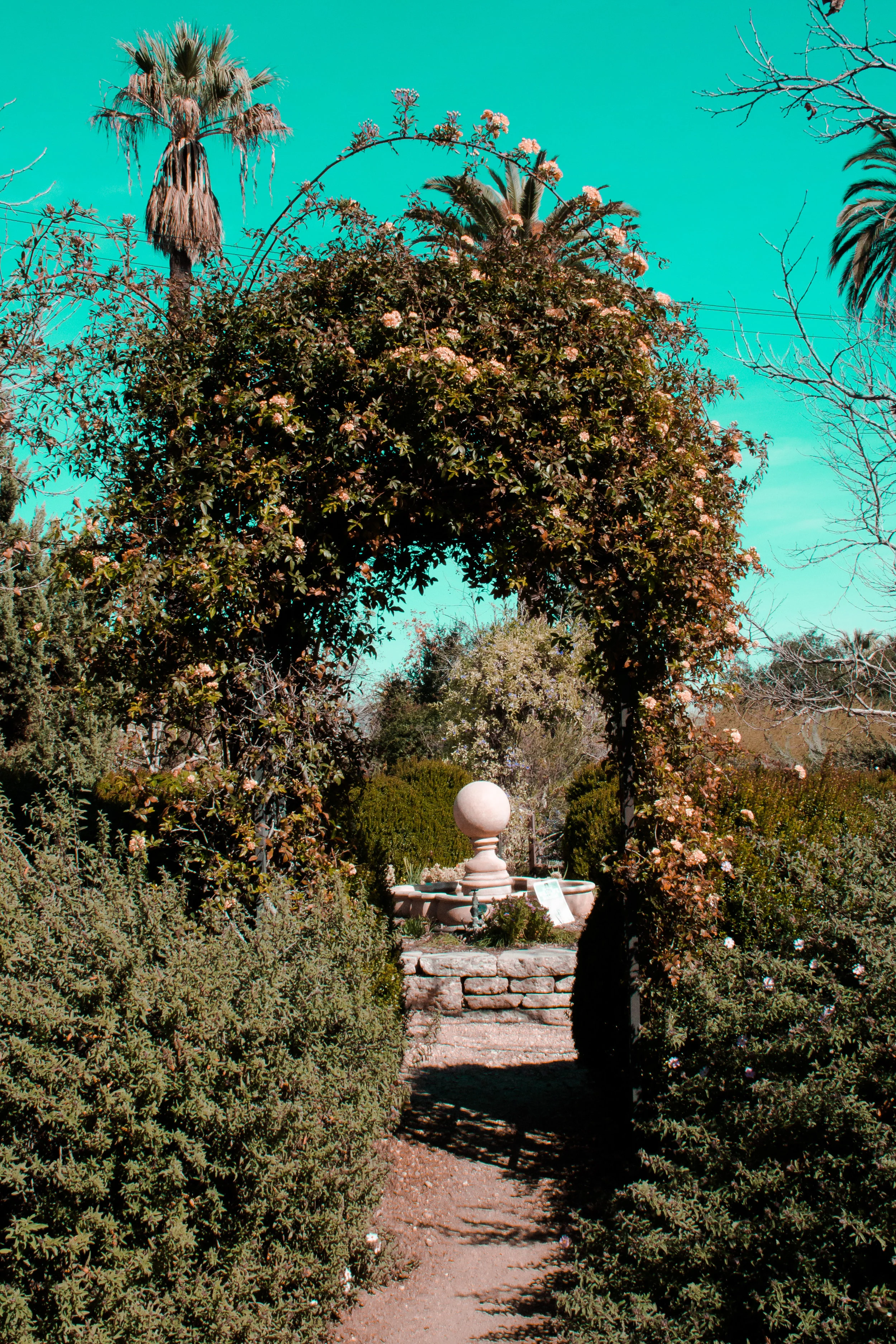 Arlington Gardens (2018)