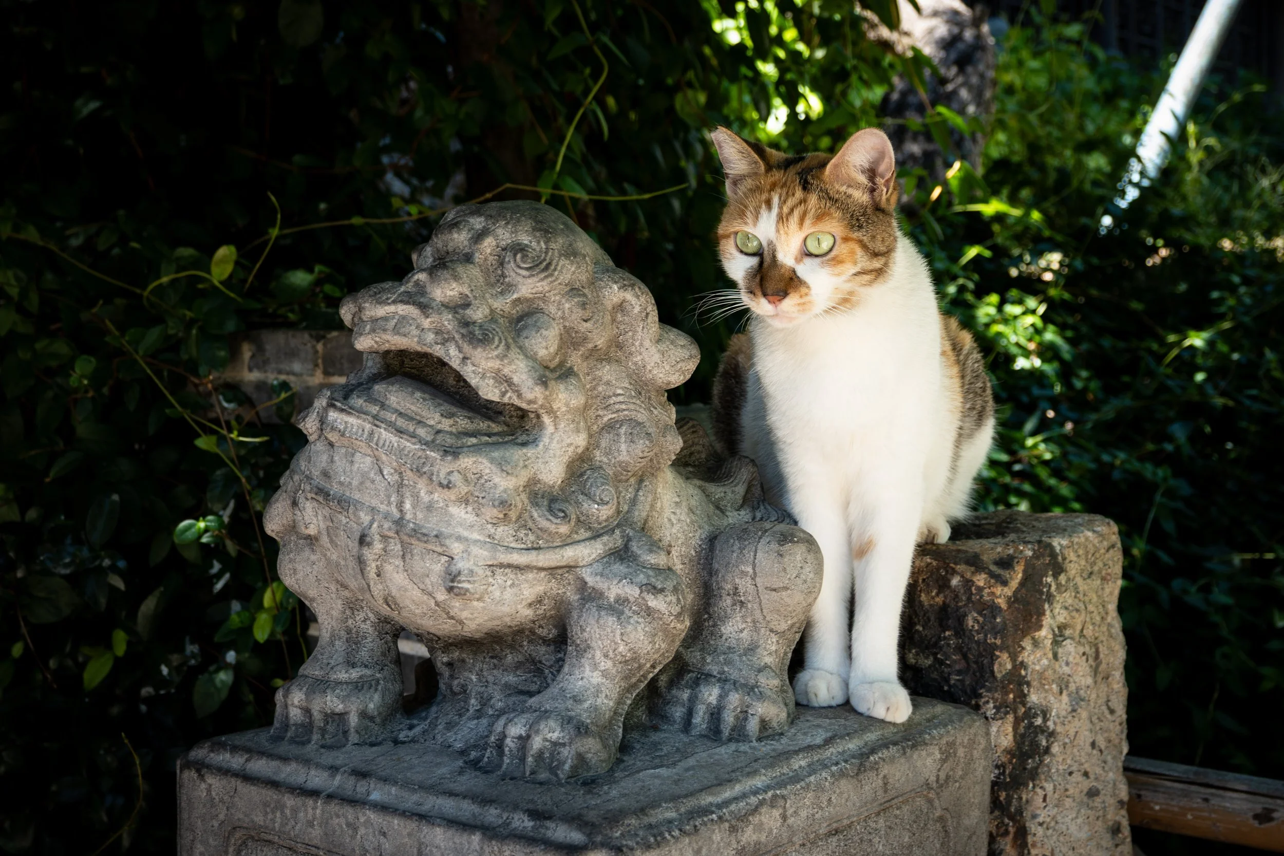 Shanghai-11.jpg