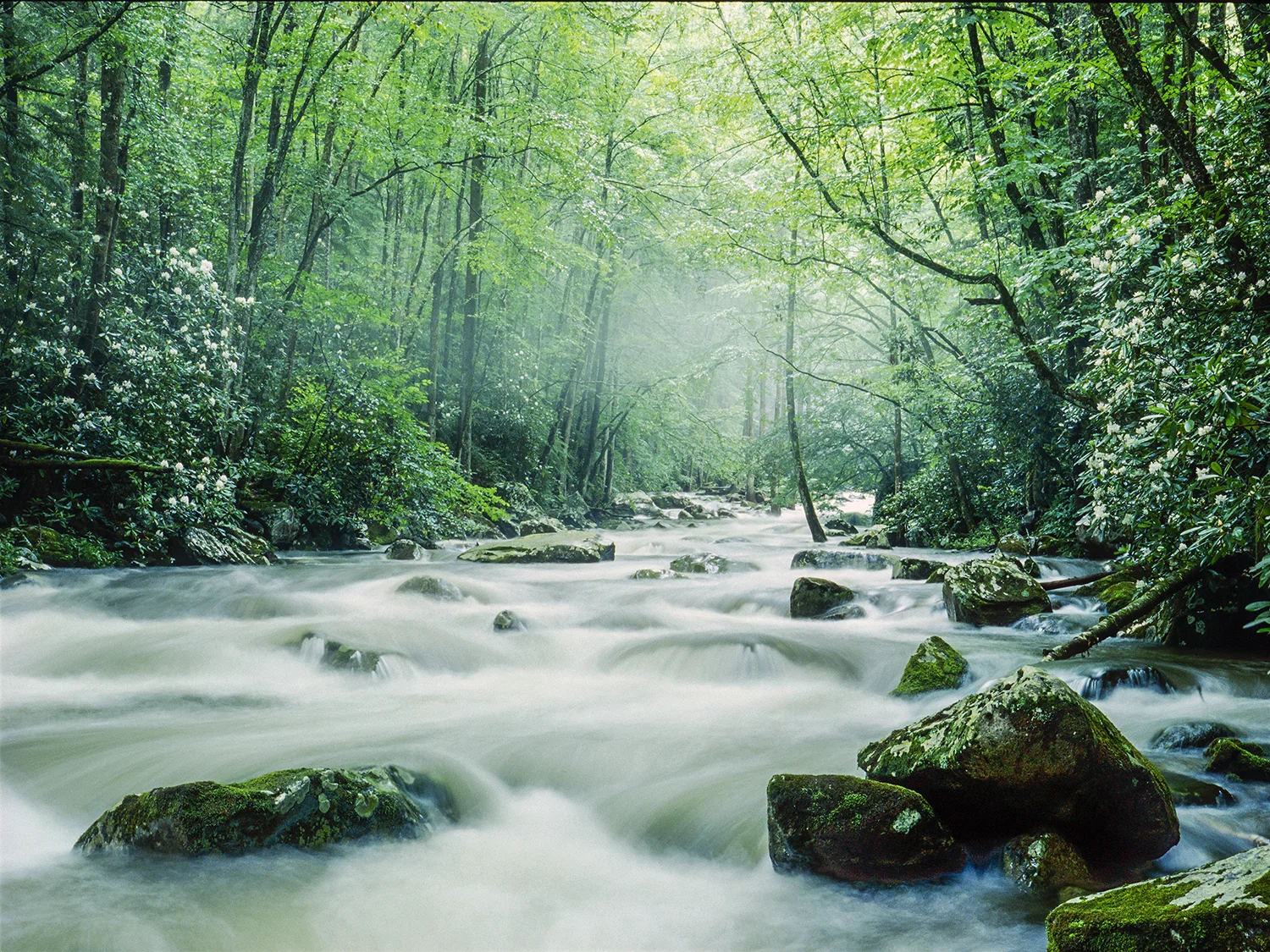 Great Smoky Mountains, North Carolina