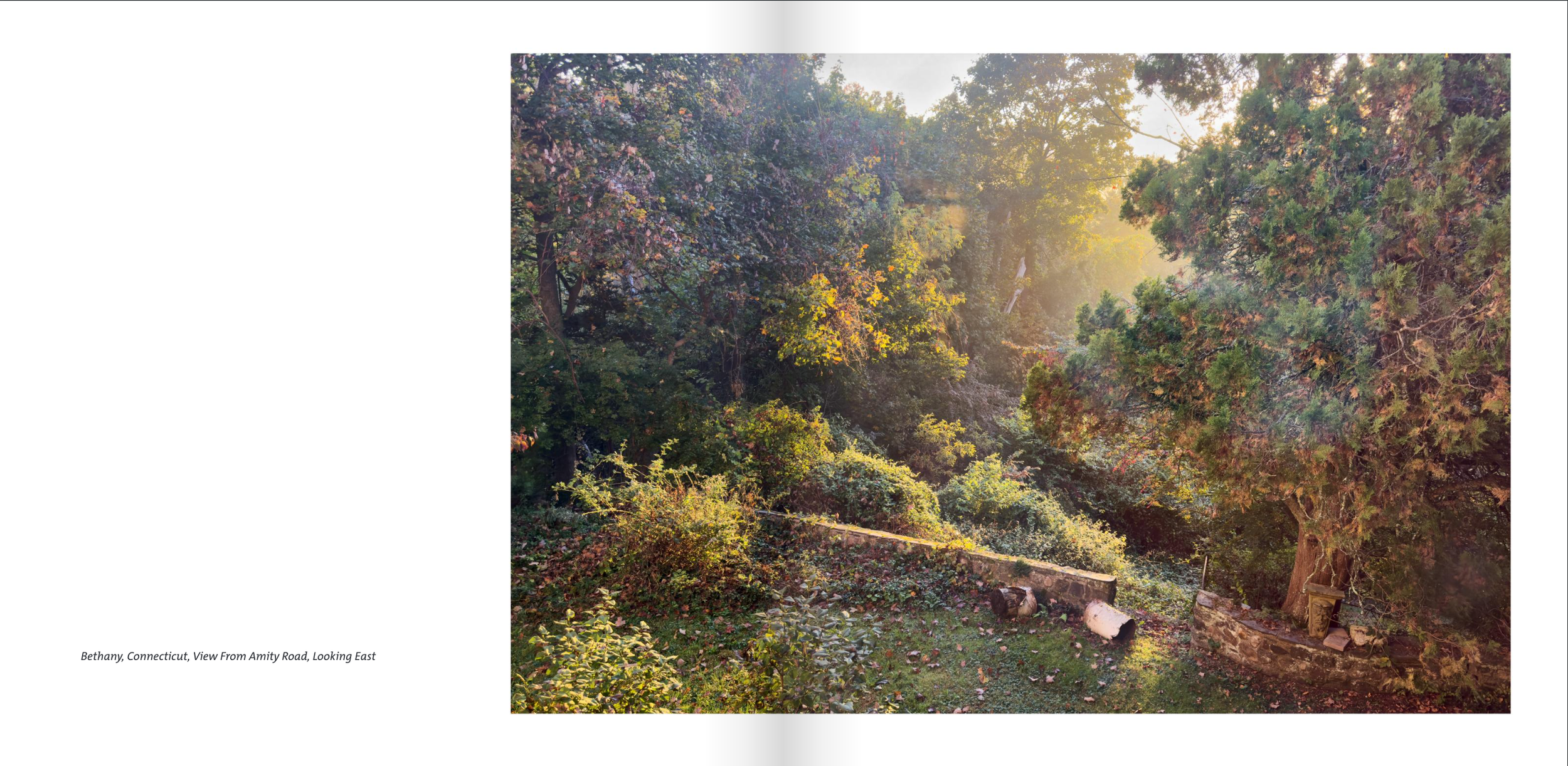 Screenshot 2026-03-21 at 9.28.01 PM.png