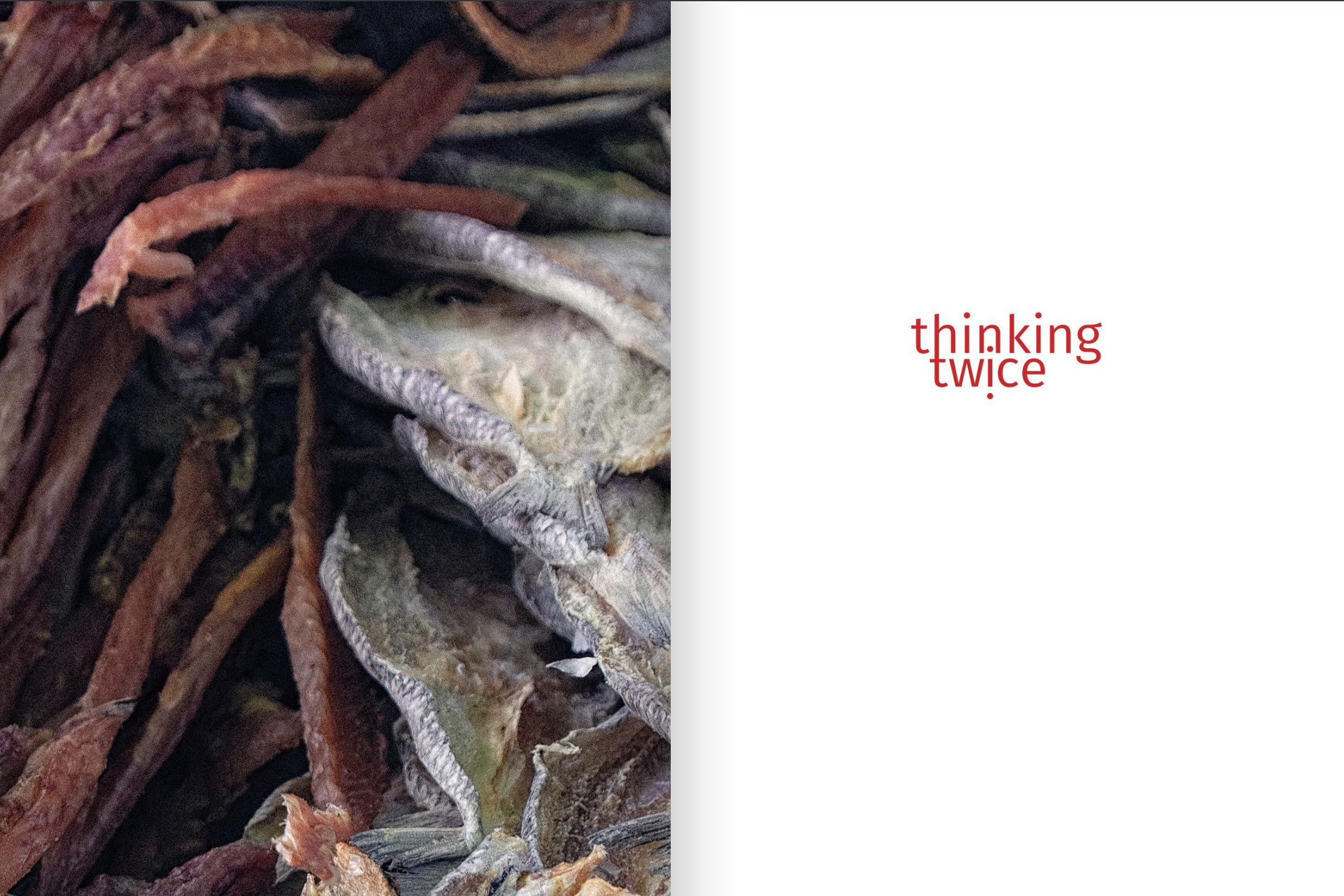 ThinkingTwice_PCrowleysp1.png