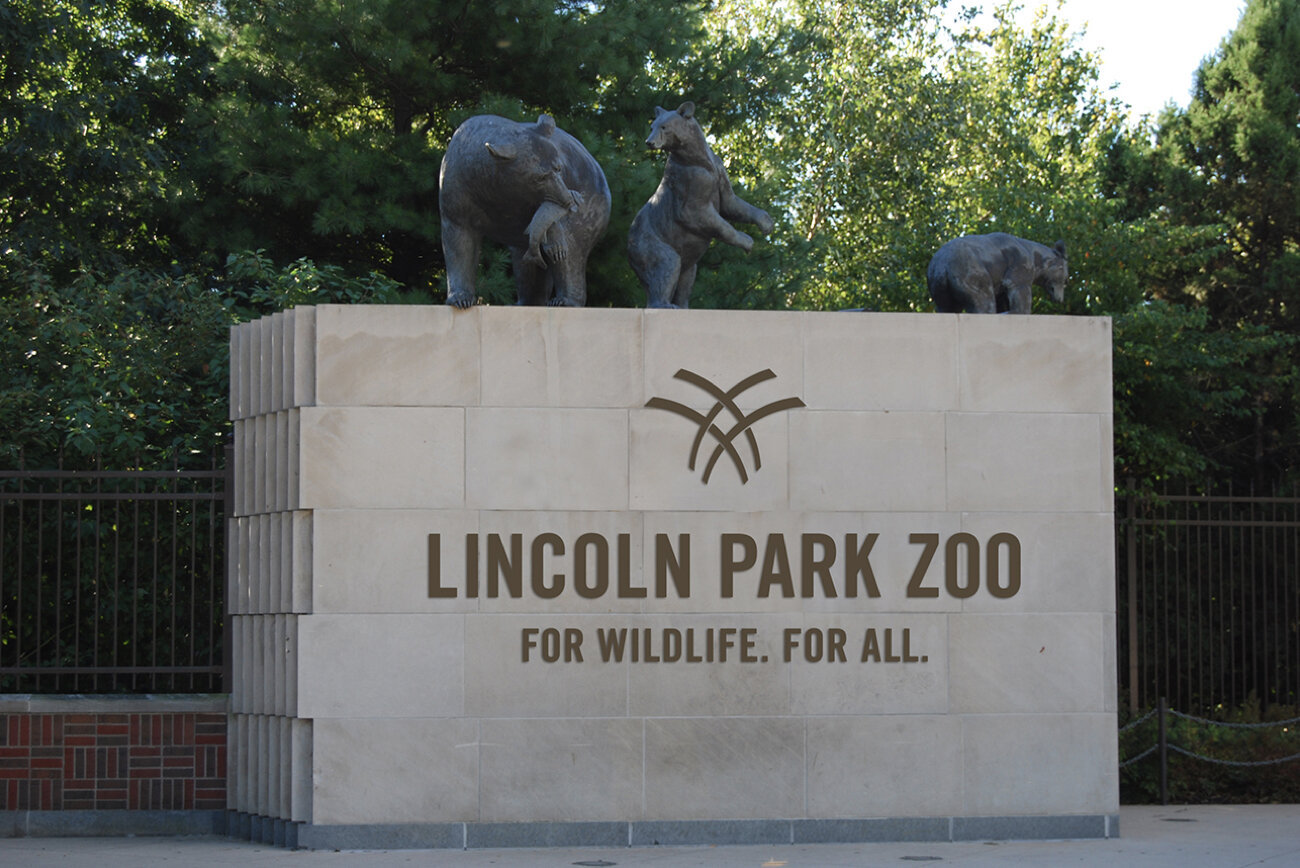 Lincoln Park Zoo 5-17-18.008.jpeg