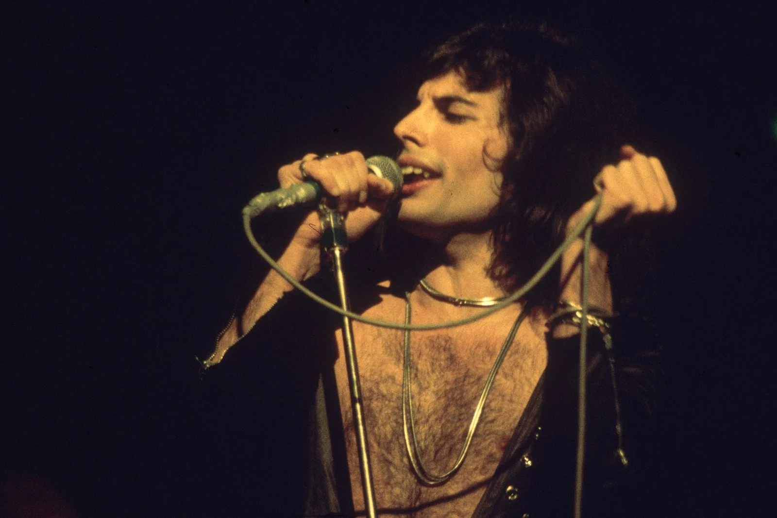 Freddie-Mercury-Queen-Photo.jpg