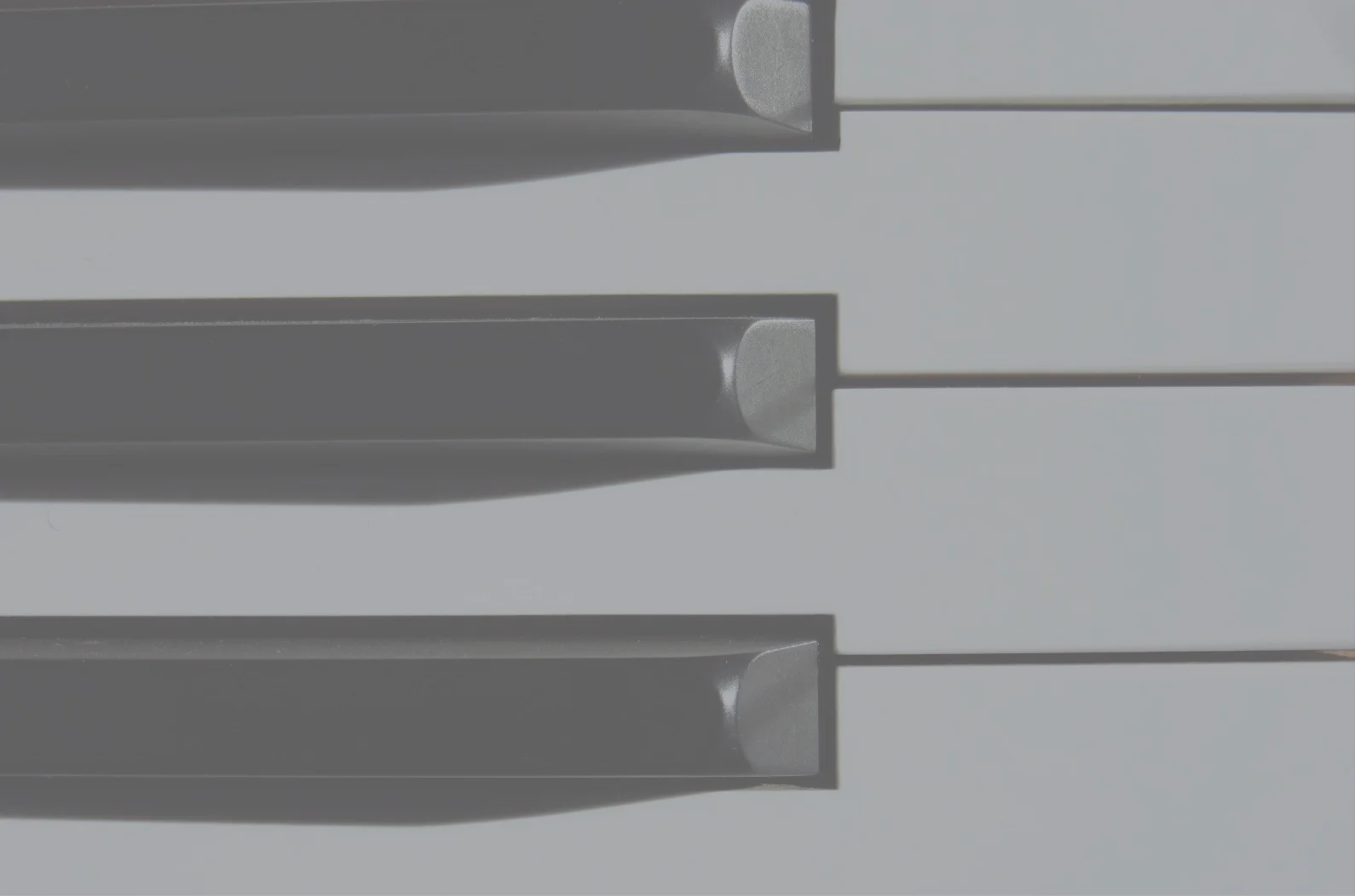 IVC.jpg
