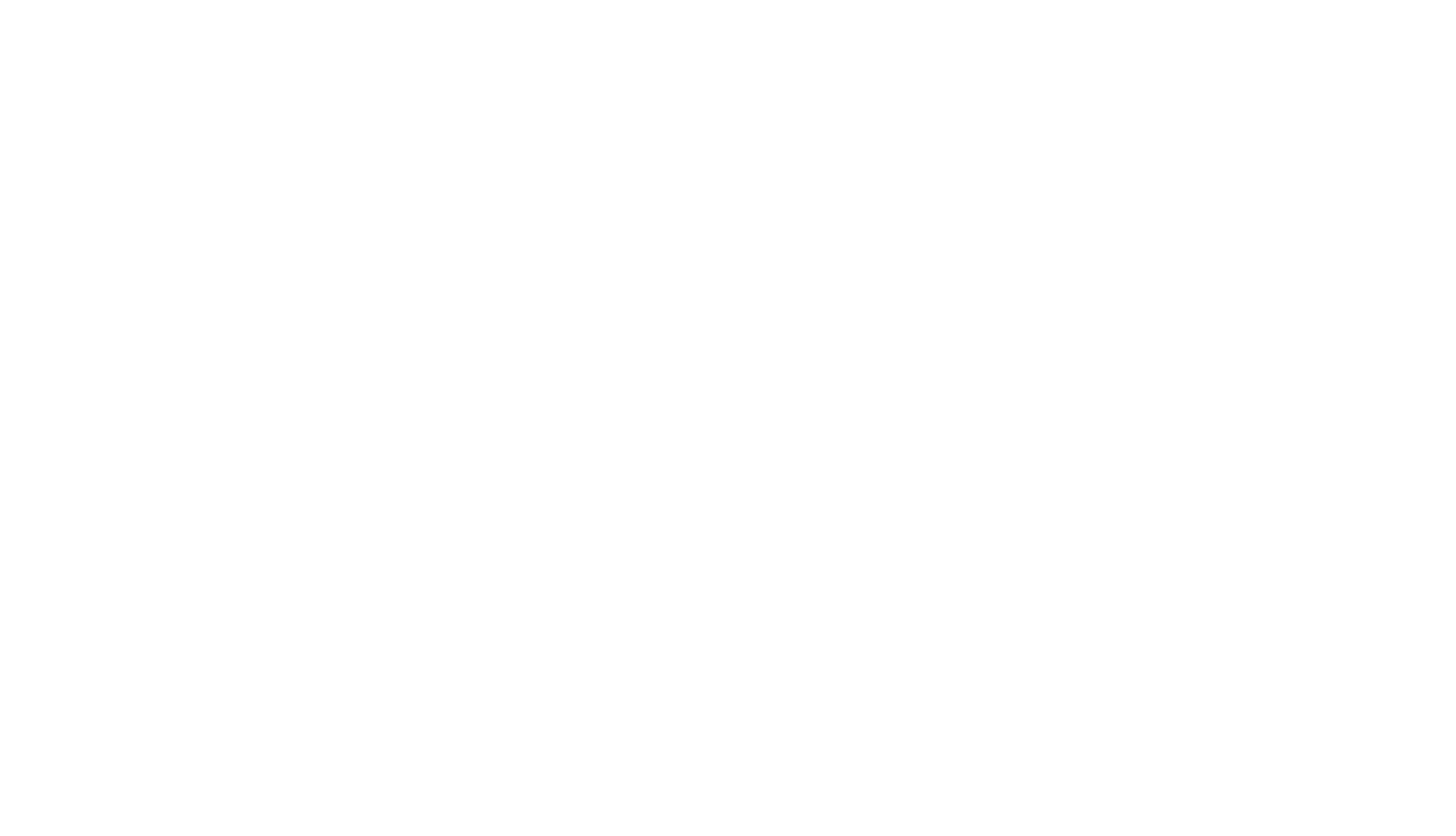 Falconry Excursions