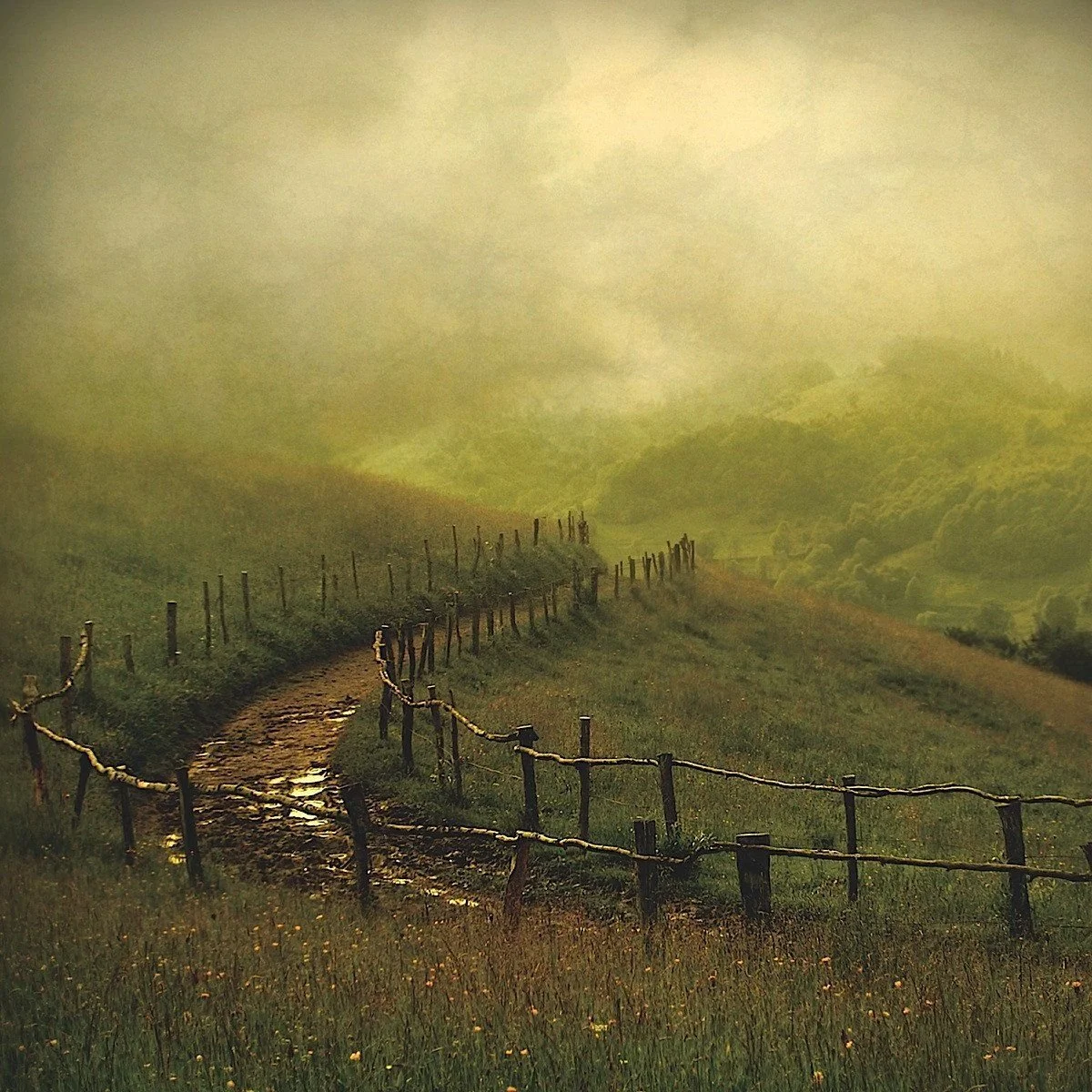 The Truth Behind Age Regression with Hypnosis