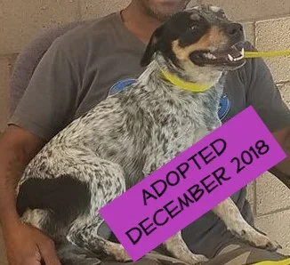 Darla adopted.jpg