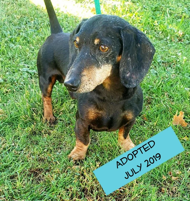 Mr Peabody adopted.jpg