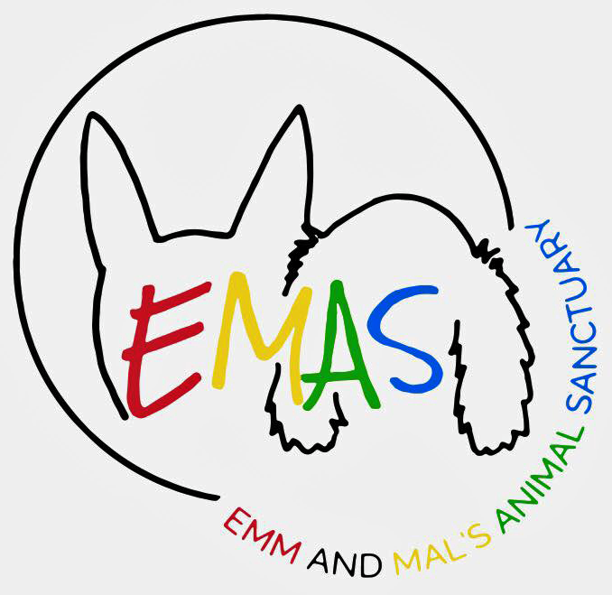 EMAS logo.png