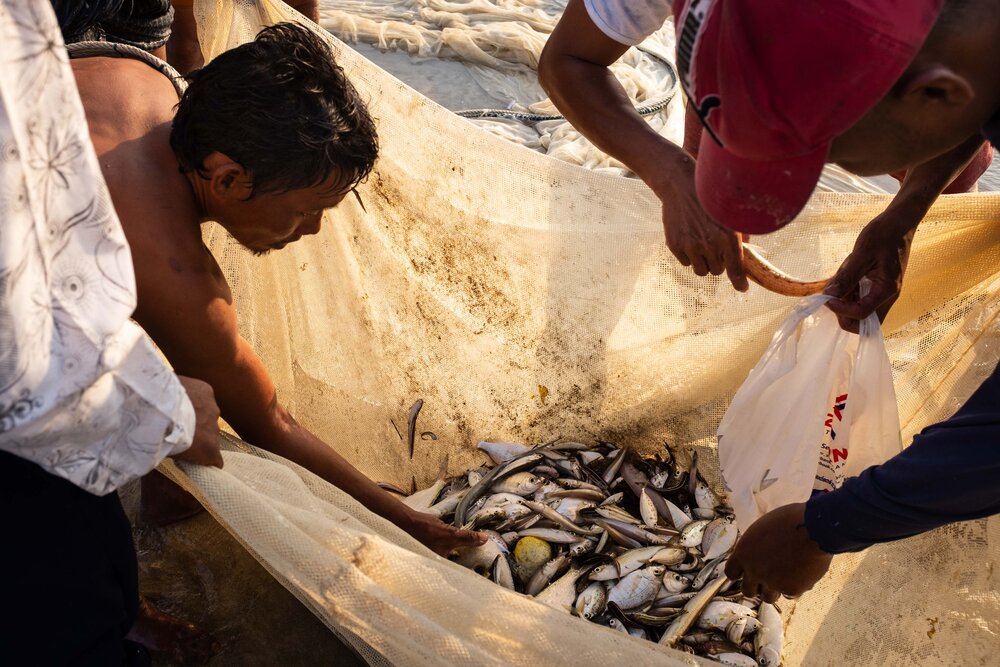 Ngwe Saung Beach_Catch-2.jpg