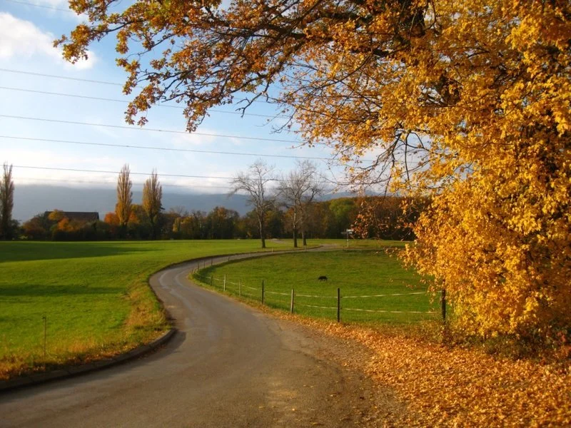 Hope Amidst The Struggle