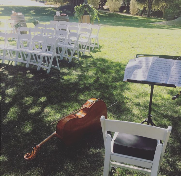 wedding cello picture.png