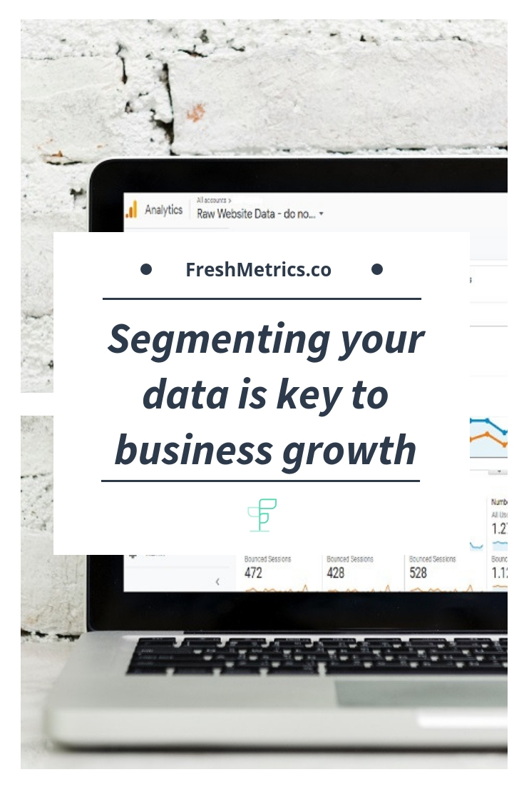 Blog - Segmenting your Data is the key to growing your business.jpg