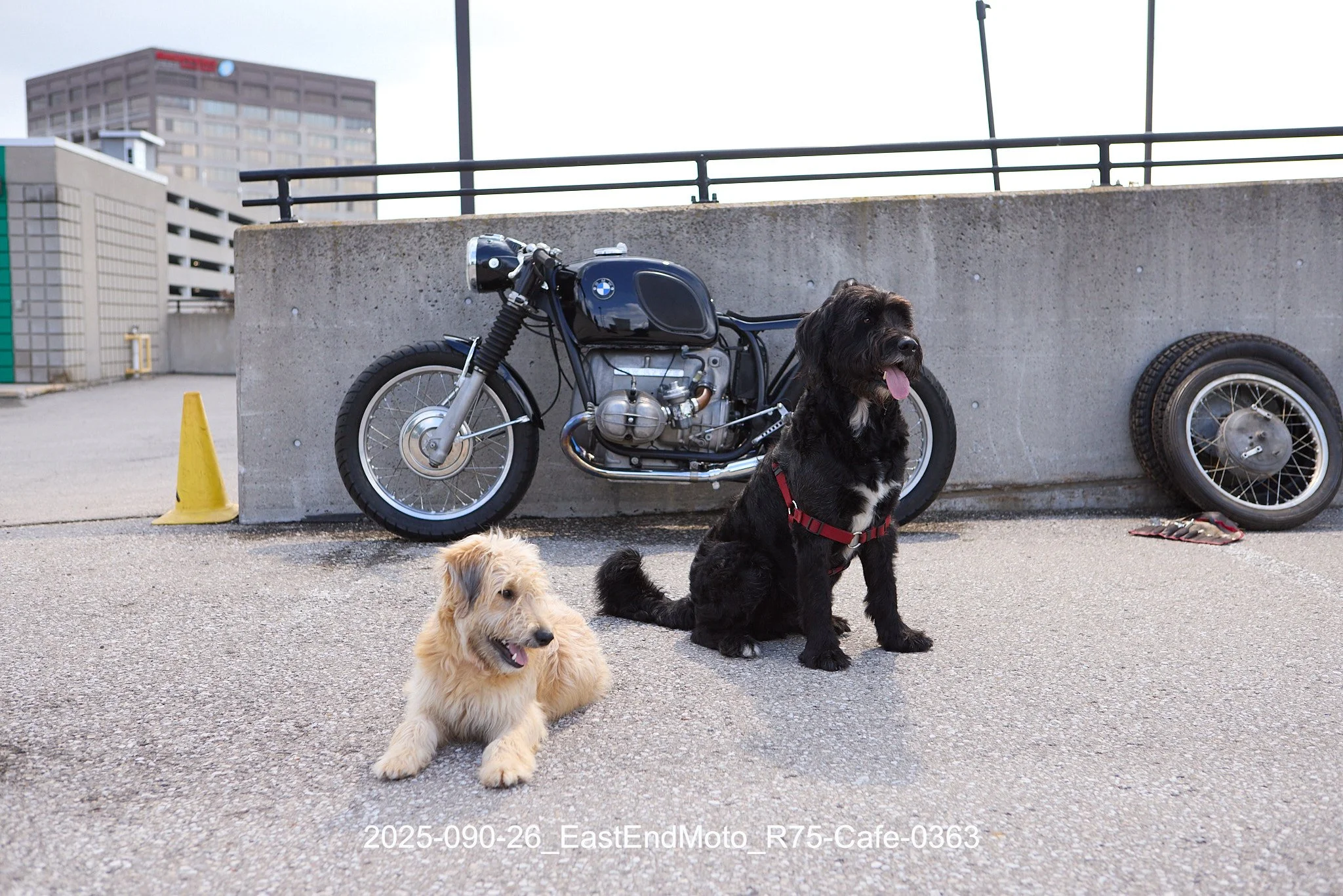 2025-090-26_EastEndMoto_R75-Cafe-0363.jpg