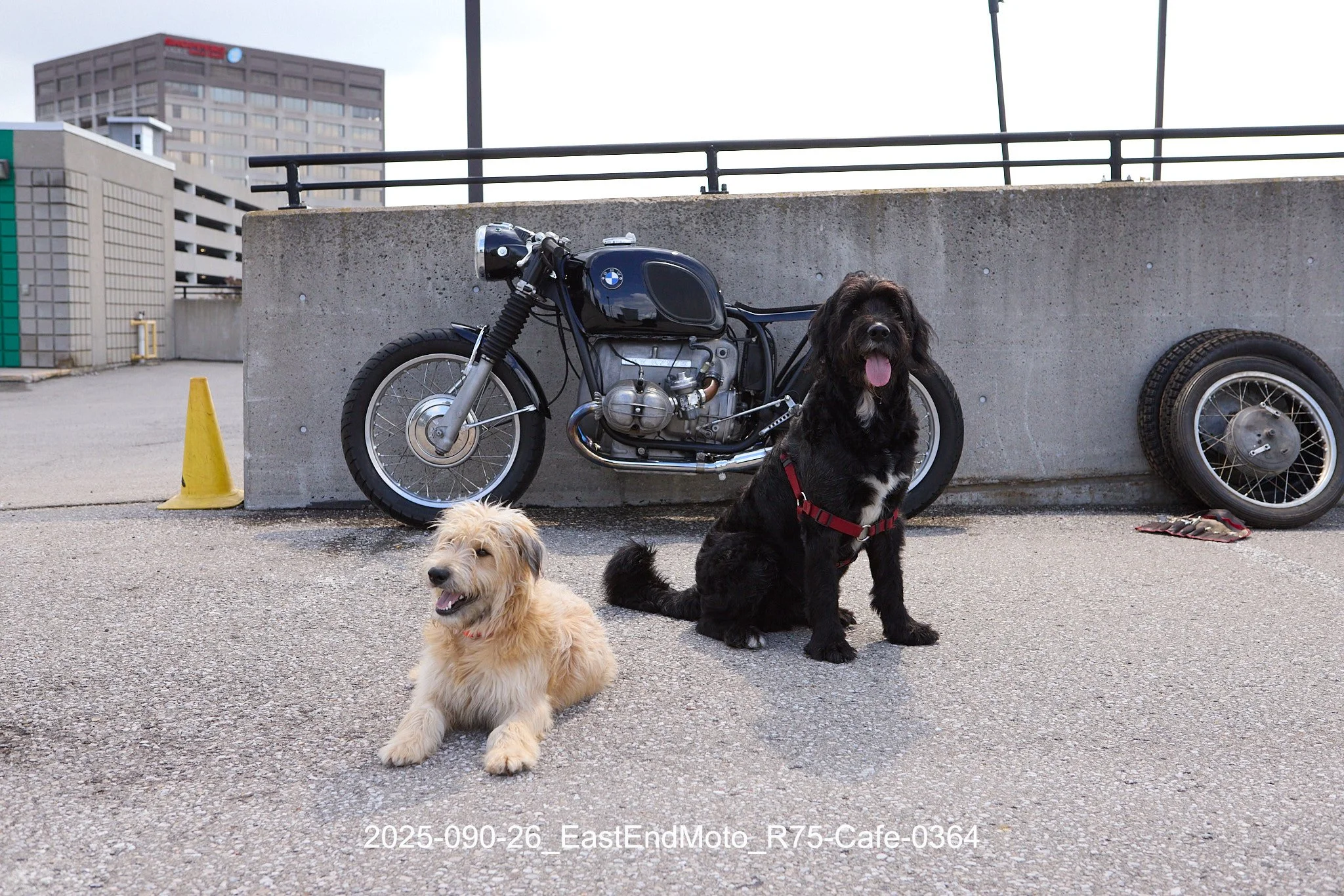 2025-090-26_EastEndMoto_R75-Cafe-0364.jpg