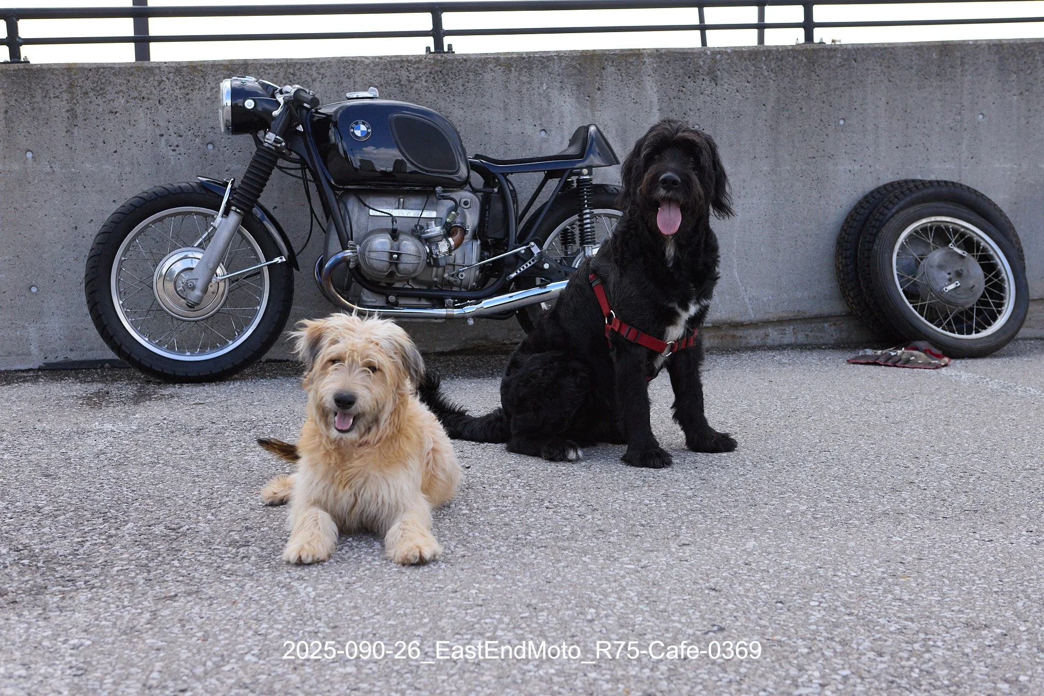 2025-090-26_EastEndMoto_R75-Cafe-0369.jpg