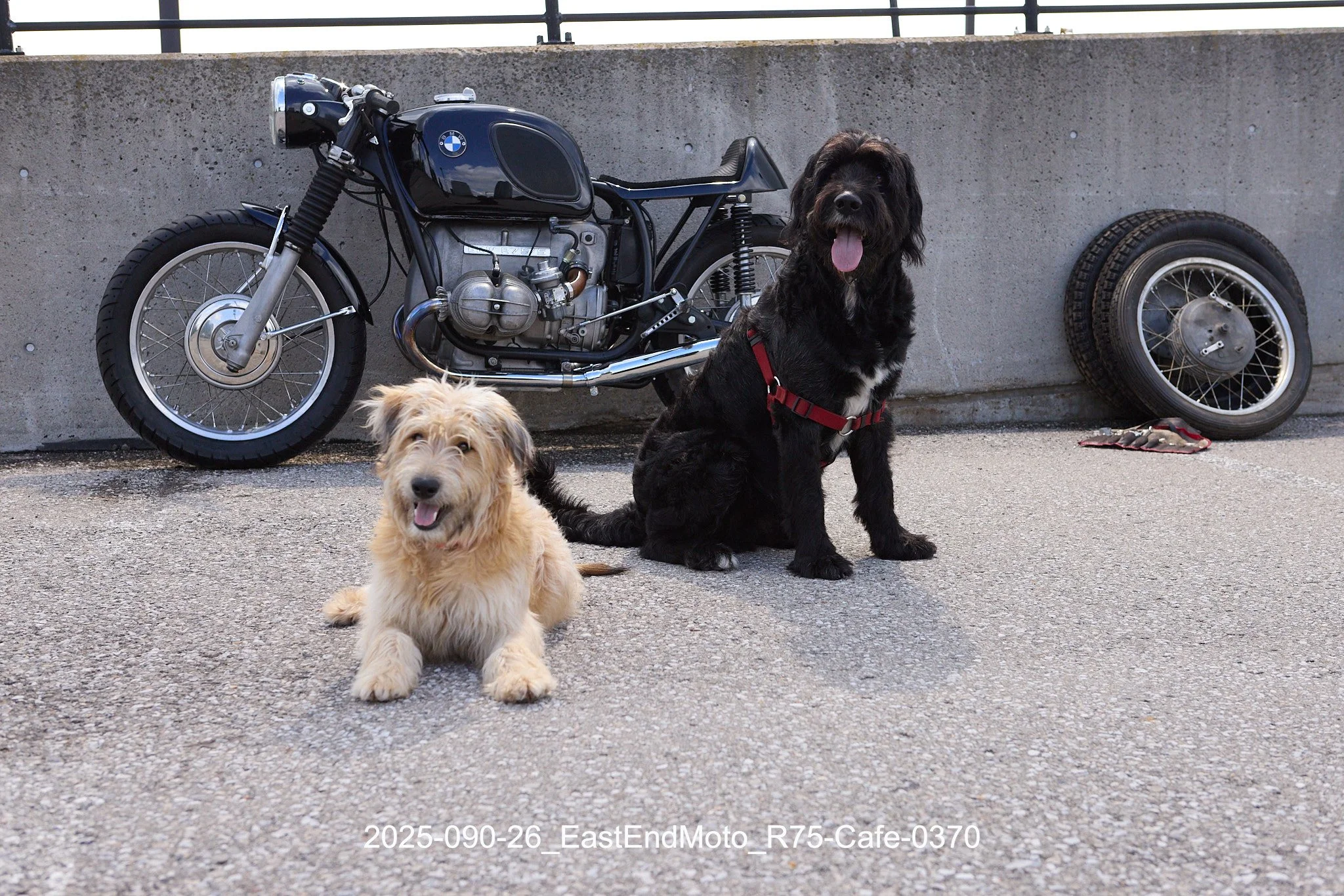 2025-090-26_EastEndMoto_R75-Cafe-0370.jpg