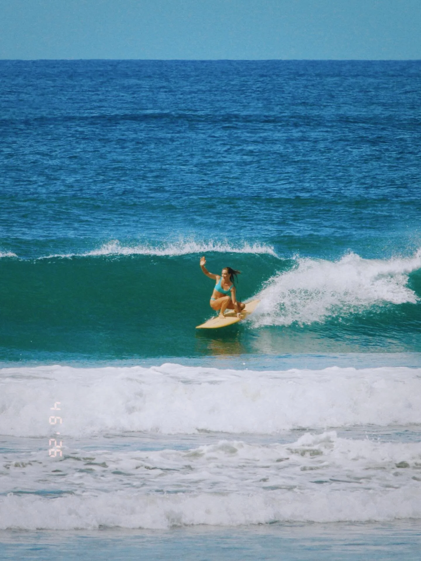 Monday morning board meetings 🩵  @thegildediguana