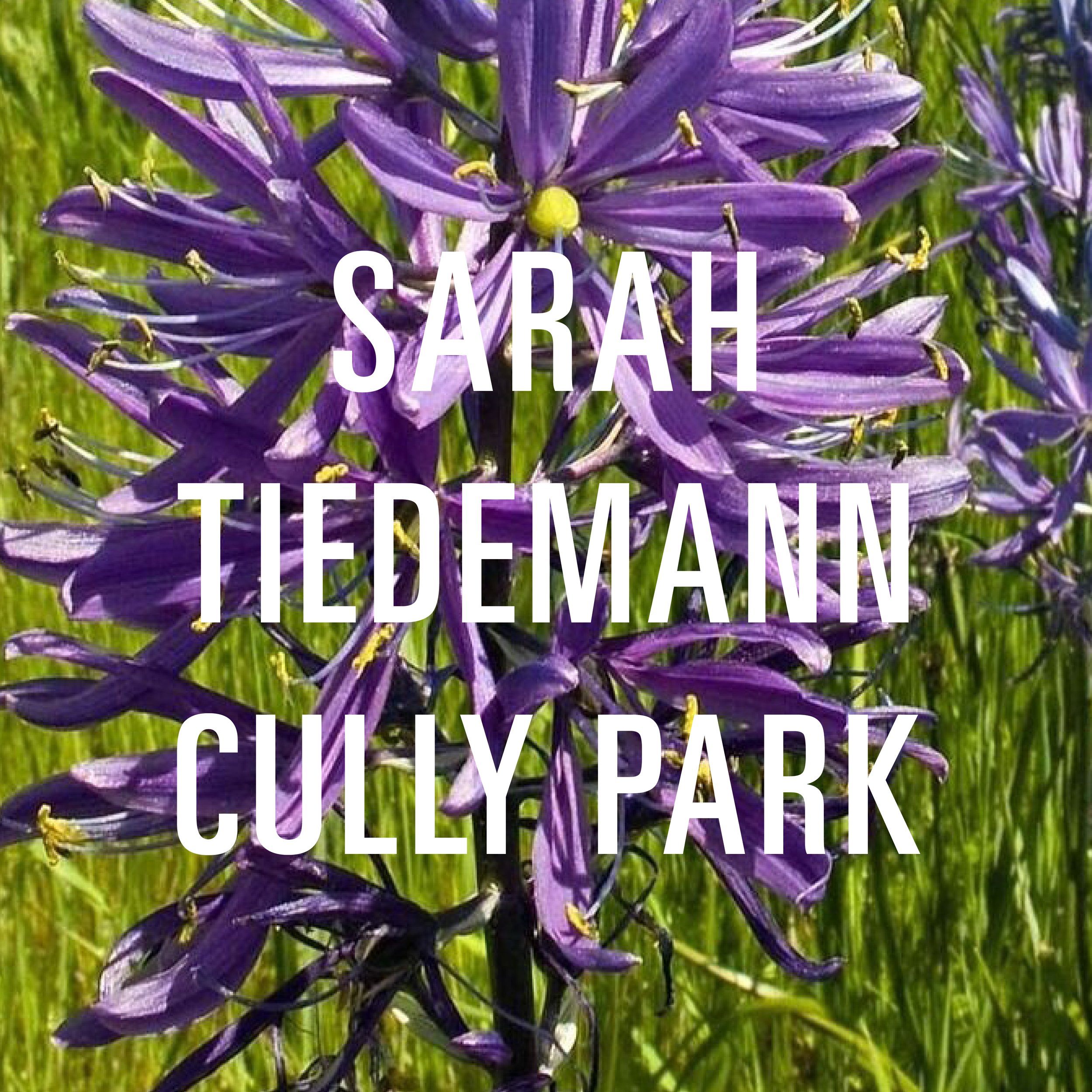 Sarah Tiedemann Cully Park