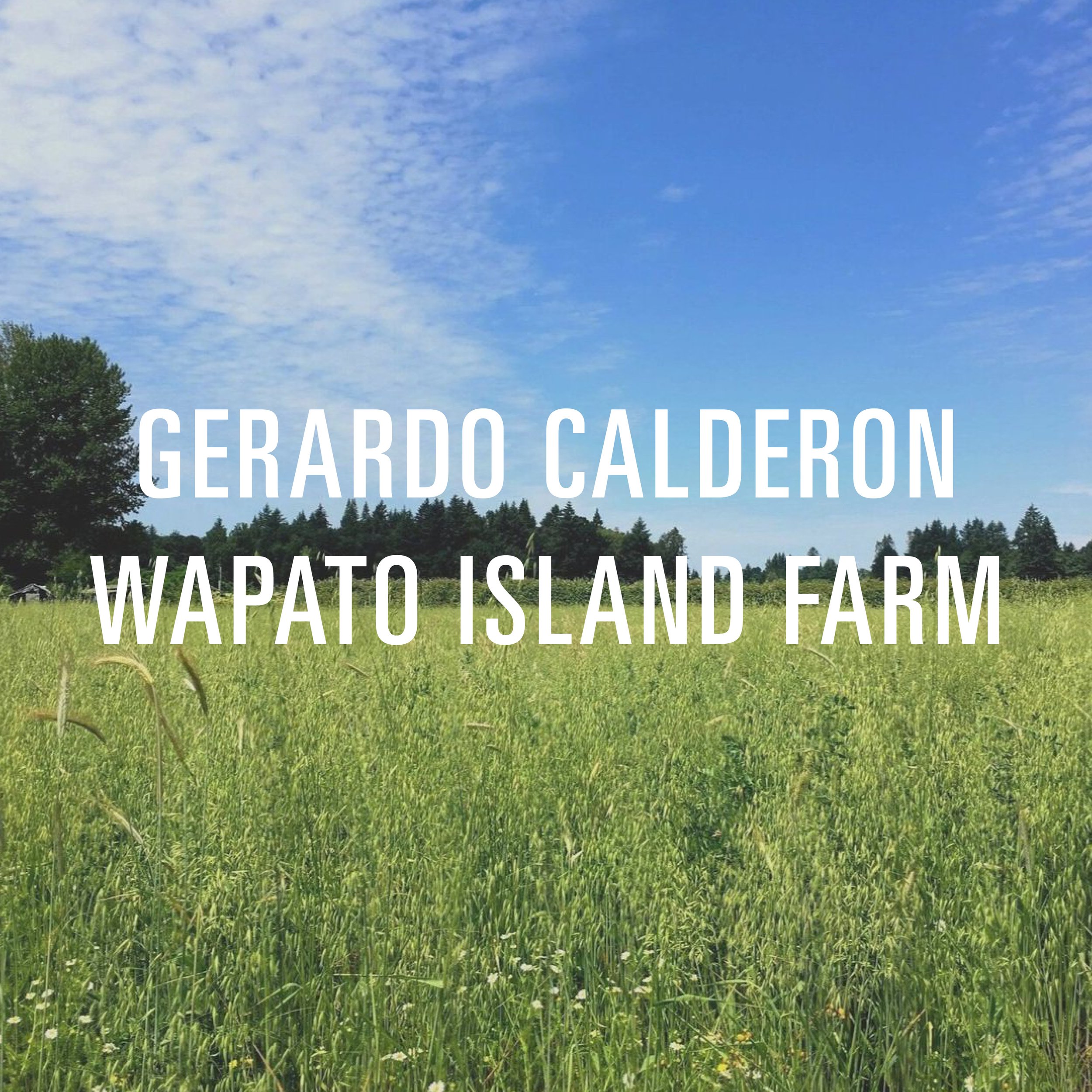 Gerardo Calderon Wapato Island Farm