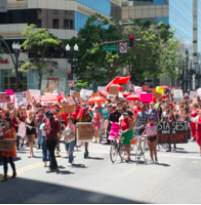 Screen Shot 2020-01-21 at 12.14.42 PM.png