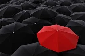 Legal Resource Survey