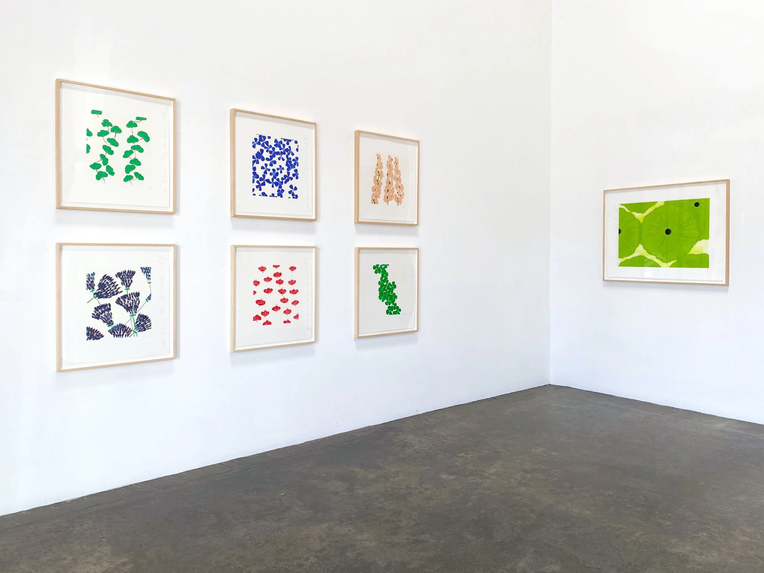 Leslie Sacks Gallery  - DONALD SULTAN