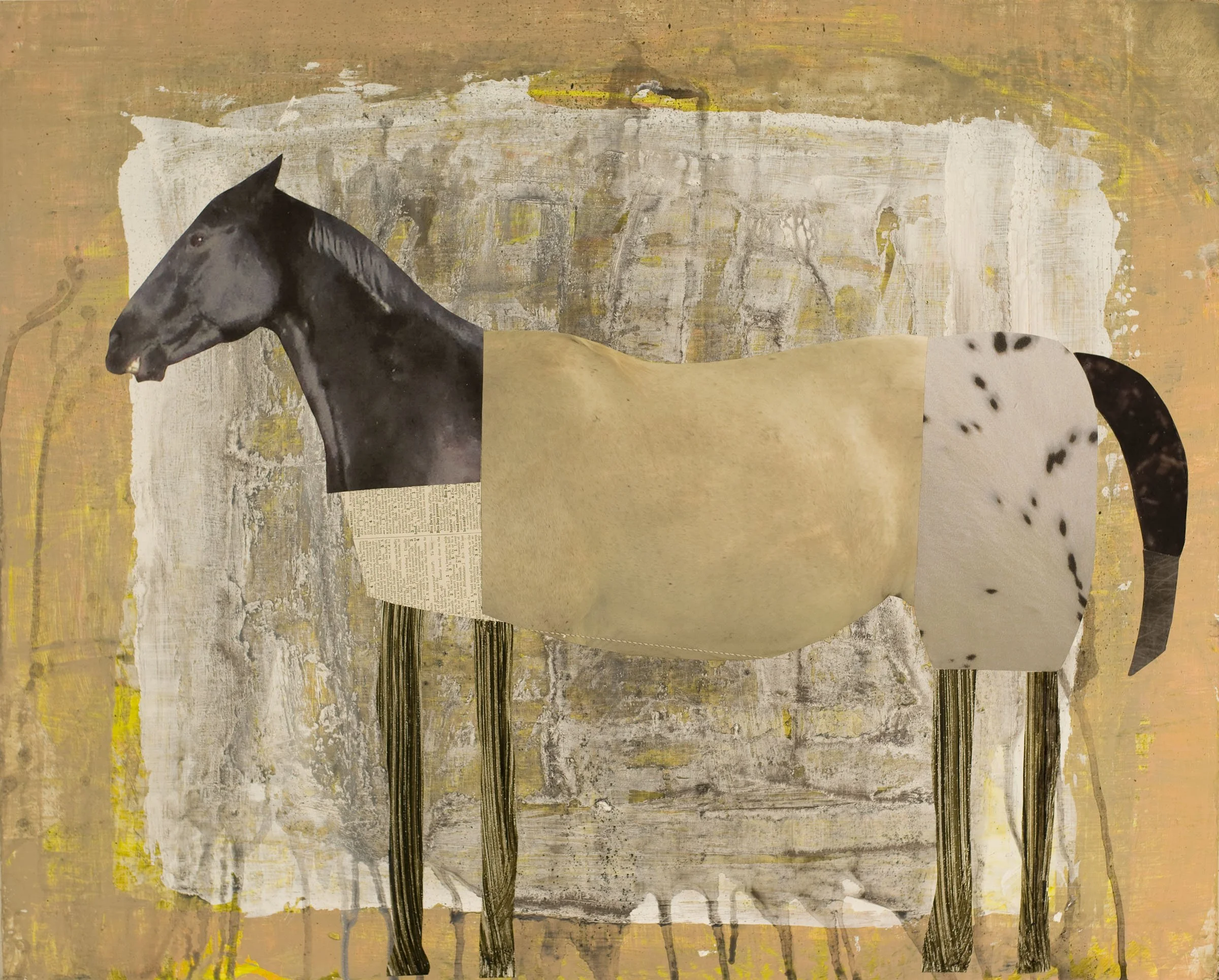 CRAIG KRULL GALLERY (B3) – HOLLY ROBERTS | WITNESS