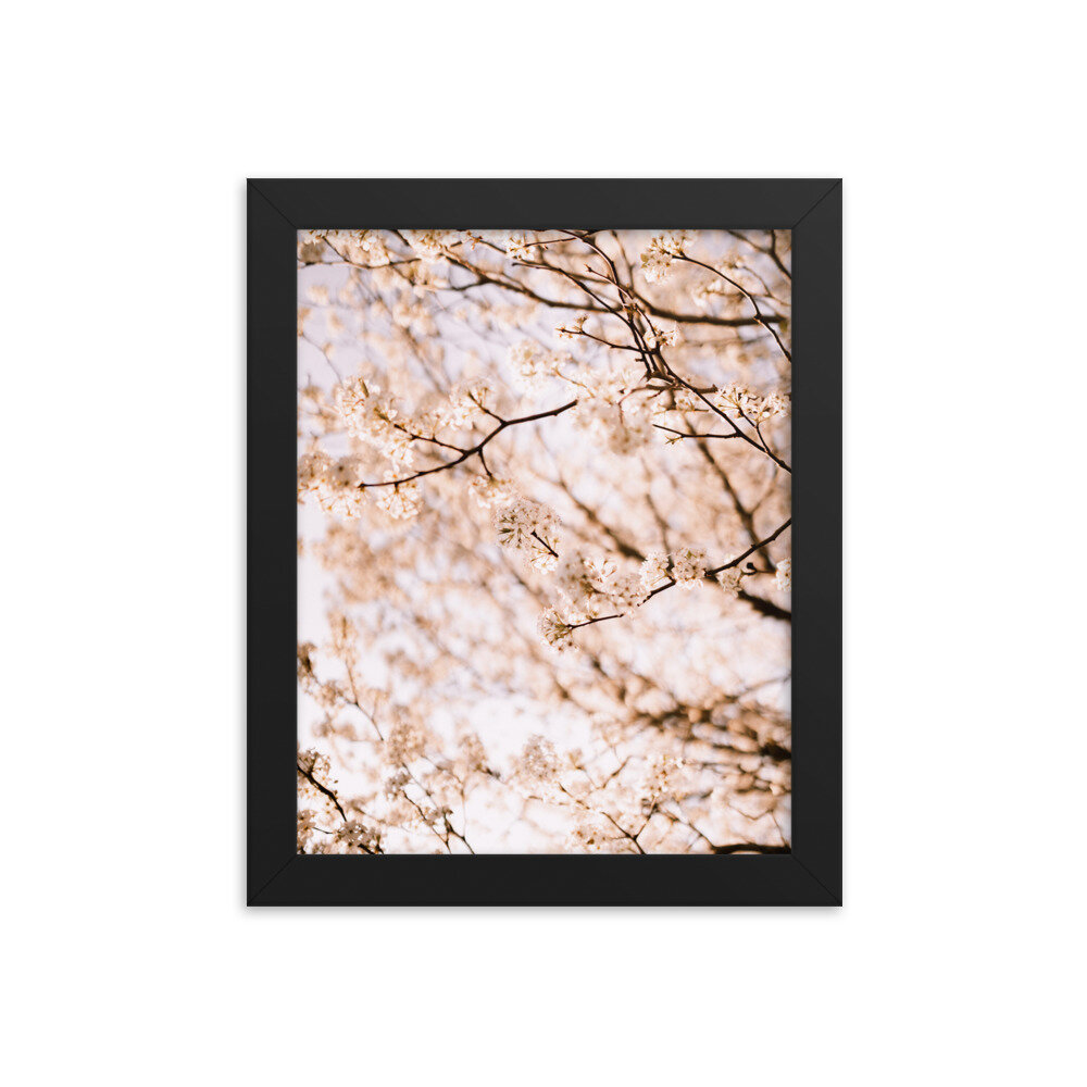 enhanced-matte-paper-framed-poster-(in)-black-8x10-transparent-6134fccd538d4.jpg