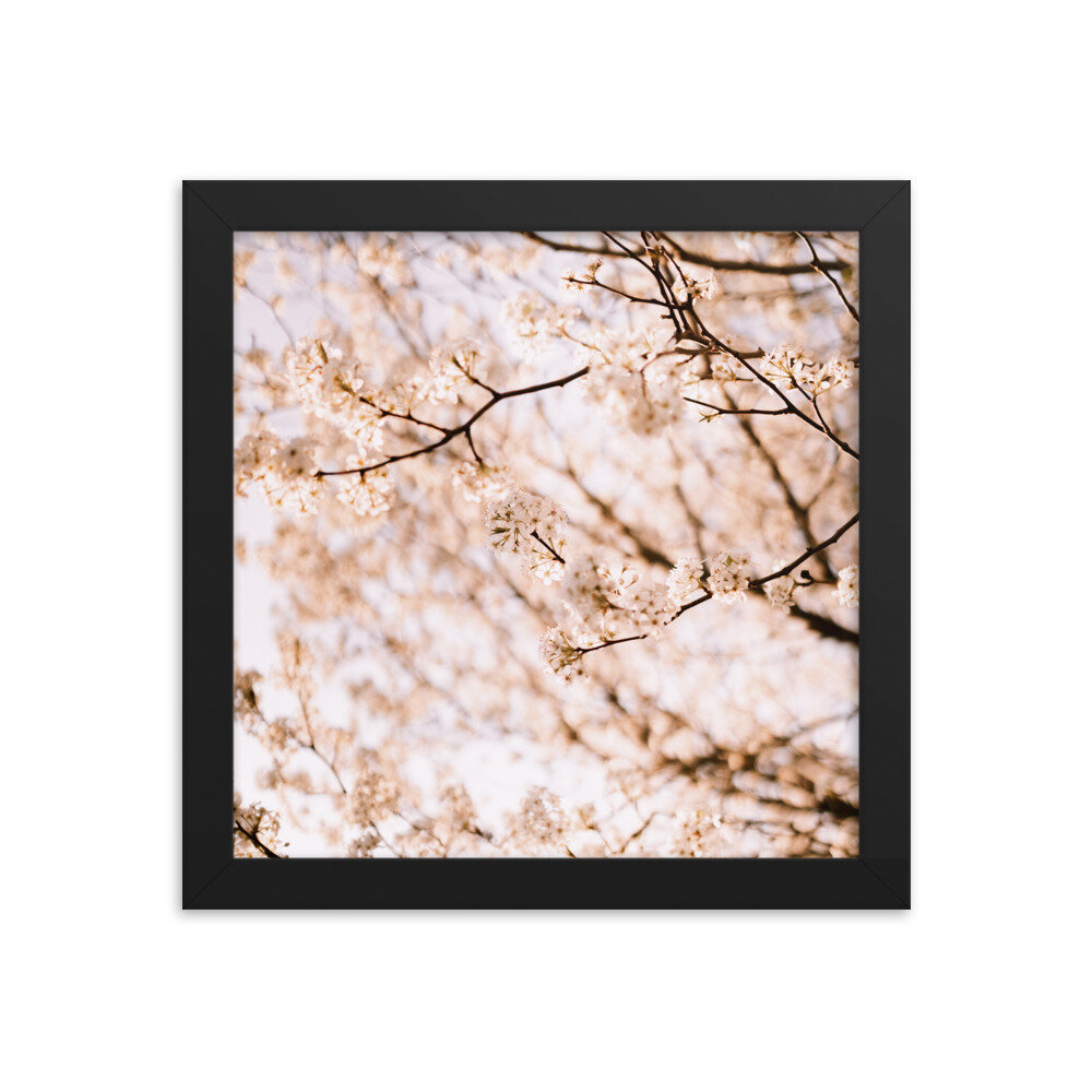 enhanced-matte-paper-framed-poster-(in)-black-10x10-transparent-6134fccd53978.jpg