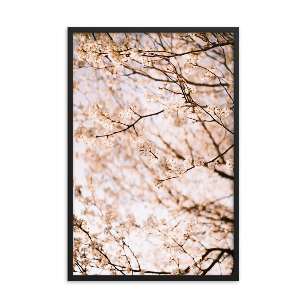 enhanced-matte-paper-framed-poster-(in)-black-24x36-transparent-6134fccd53e84.jpg