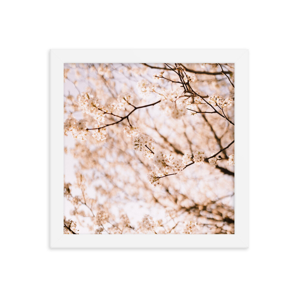 enhanced-matte-paper-framed-poster-(in)-white-10x10-transparent-6134fccd53f94.jpg