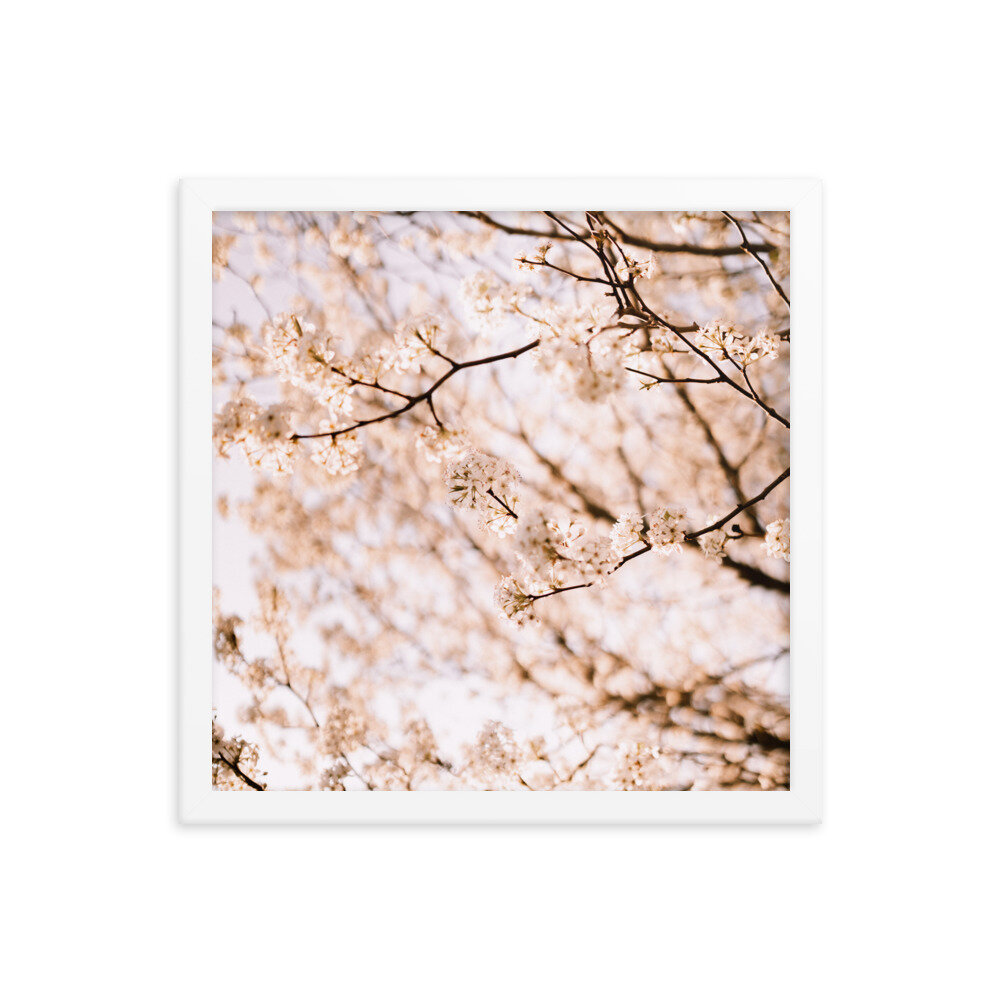 enhanced-matte-paper-framed-poster-(in)-white-14x14-transparent-6134fccd5411a.jpg