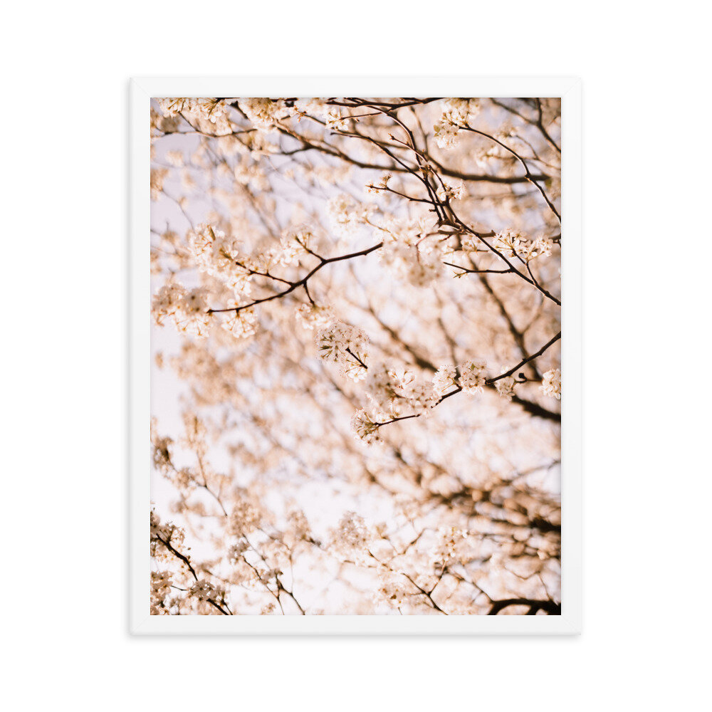 enhanced-matte-paper-framed-poster-(in)-white-16x20-transparent-6134fccd5434d.jpg