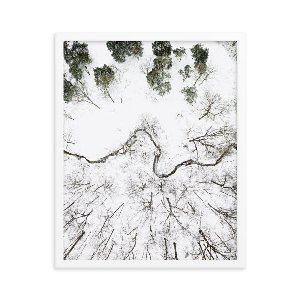 enhanced-matte-paper-framed-poster-(in)-white-16x20-transparent-6134fce67383a.jpg