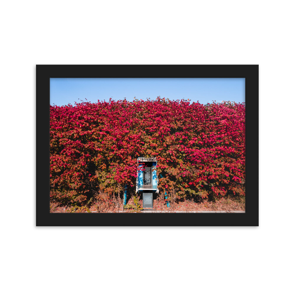enhanced-matte-paper-framed-poster-(cm)-black-21x30-cm-transparent-6134fdb218c7d.jpg