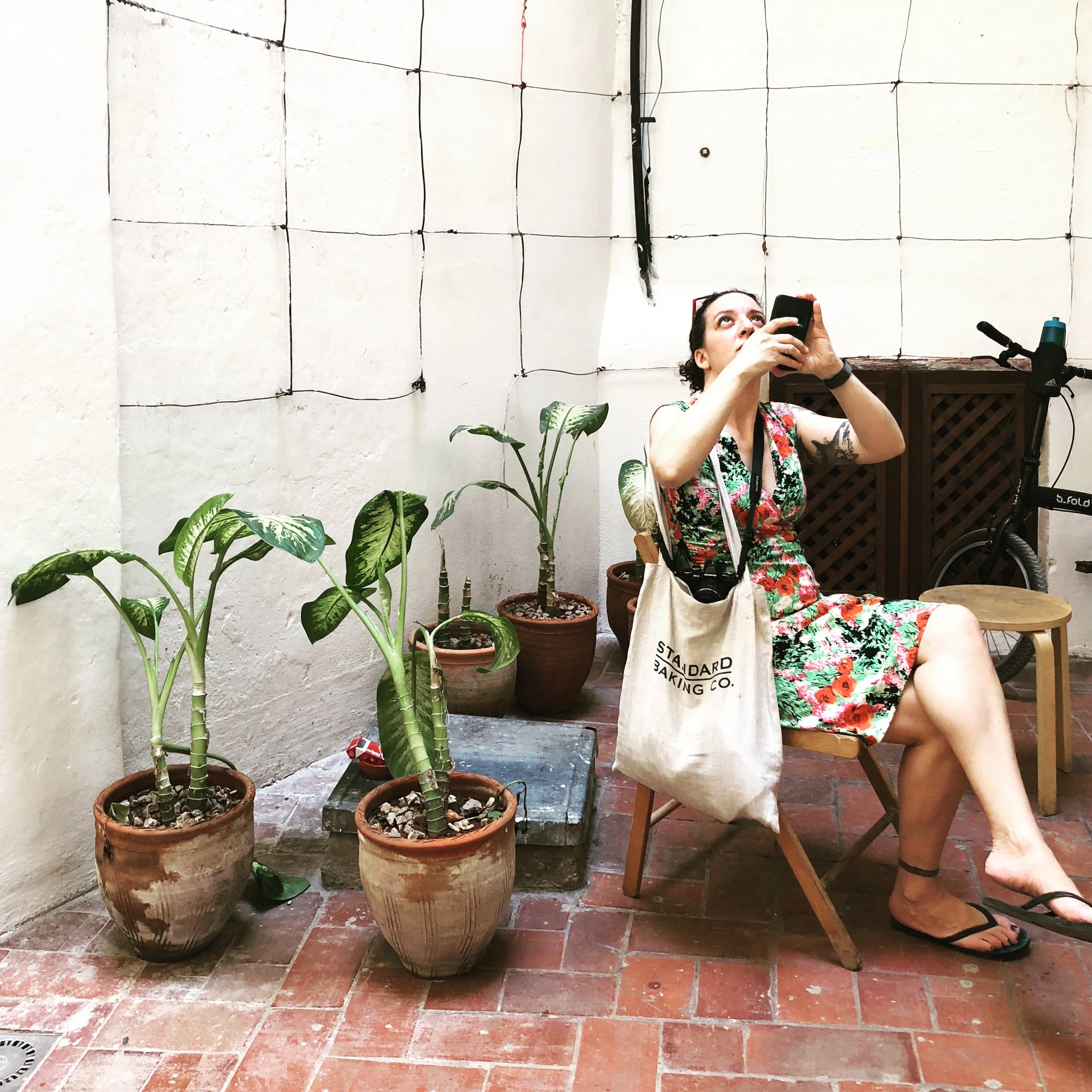 From Brooklyn to Havana