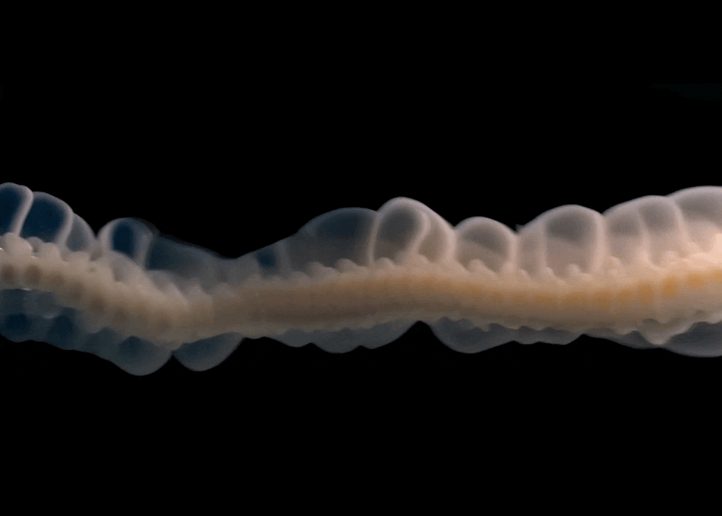 Screen Recording 2024-09-02 at 12.01.27 PM.gif