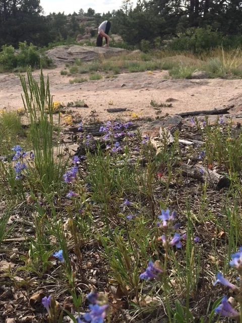 Taos Rejuvenation Yoga Retreat - Taos, NM