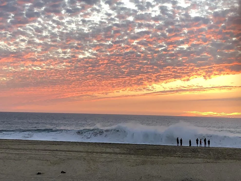 ONE Yoga Denver Winter Retreat - Cabo San Lucas, January 2023