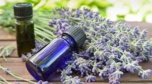 Essential Oils for Yoga, Athletes, Self-Care, and a Healthy Household - Zoom Open House