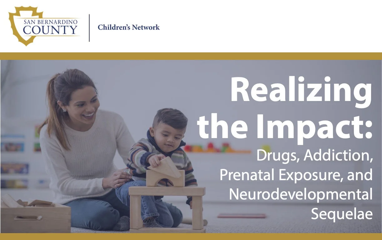 Realizing the Impact: Drugs, Addiction, Prenatal Exposure, and Neurodevelopmental Sequelae