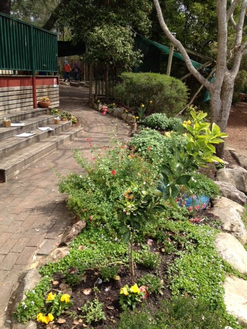 garden.jpg