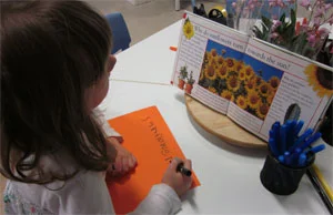 Writing-sunflower-small.jpg