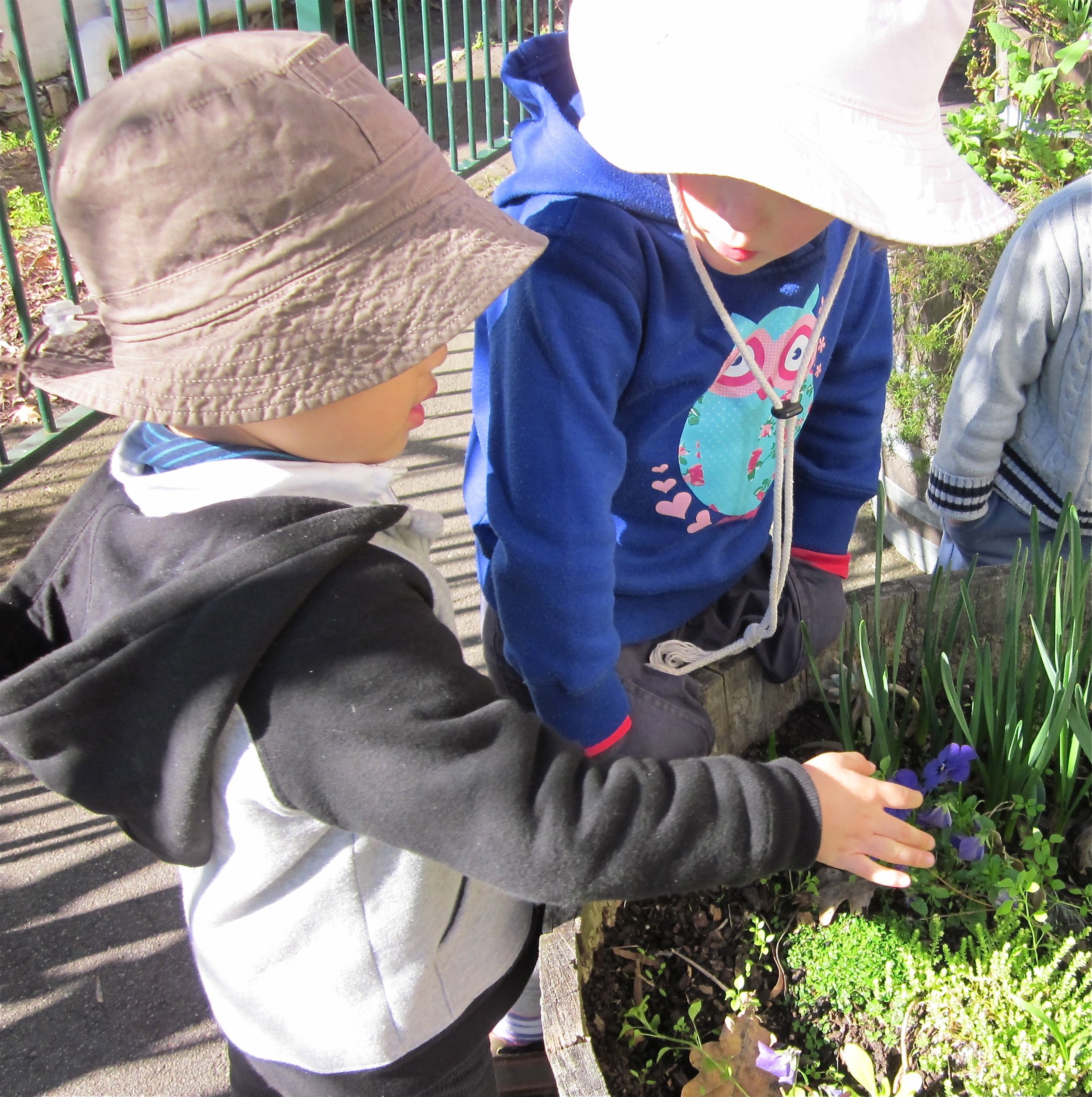 Children looking at flower.jpg