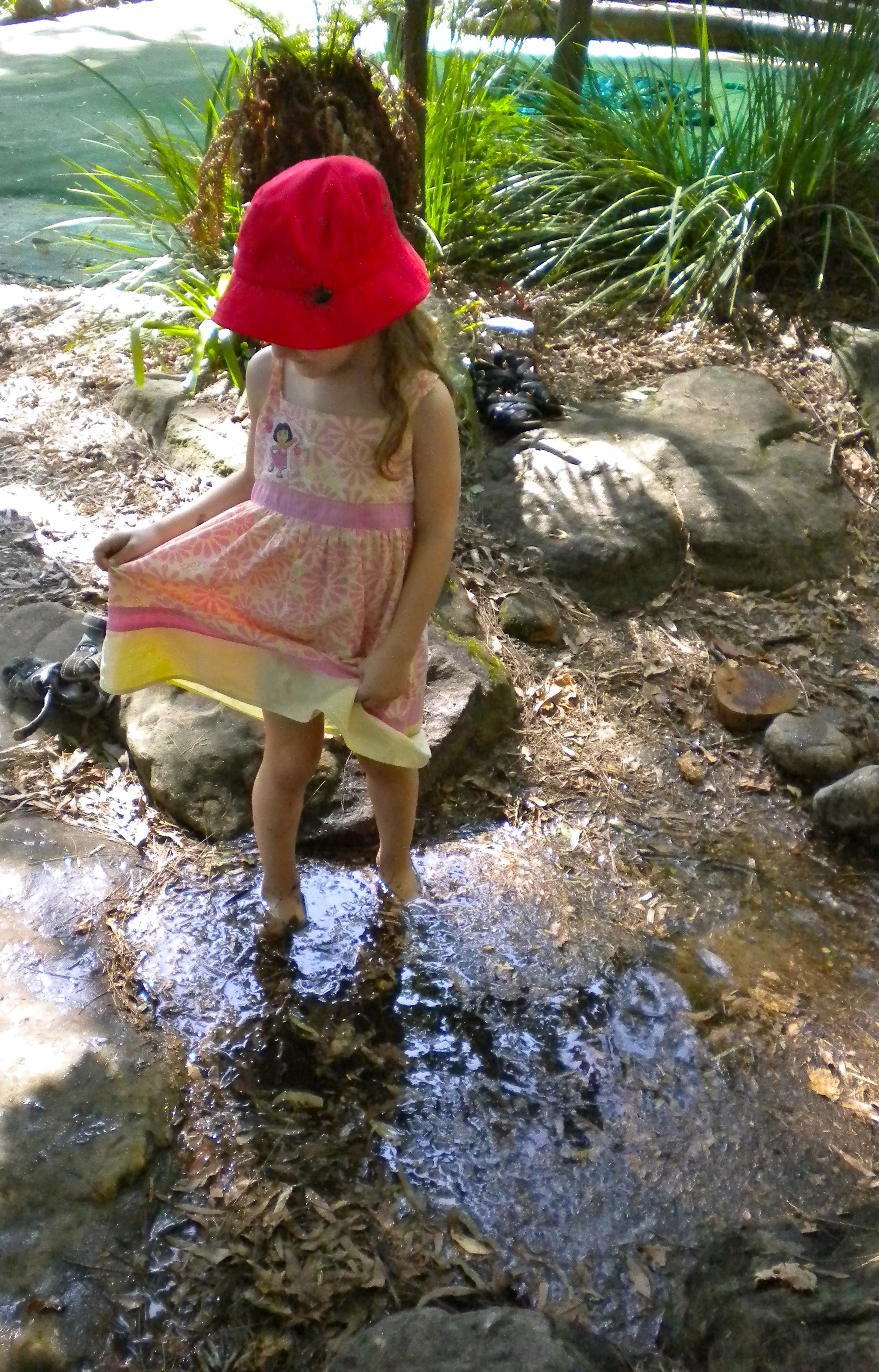 Playing in creek.jpg