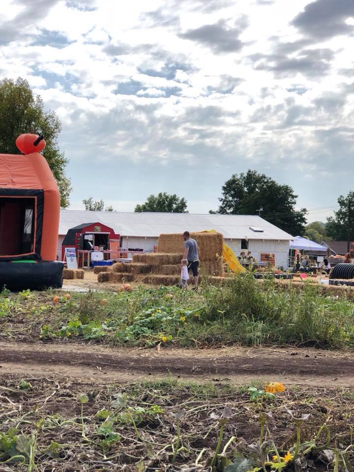 Our family trip to the pumpkin patch, 5 reasons why we support small local farms each and every fall