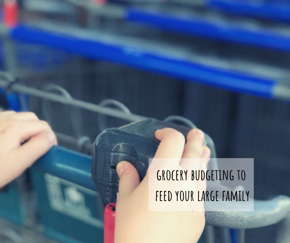 Grocery budgeting to feed your big family, how to master this so your fridge is never empty