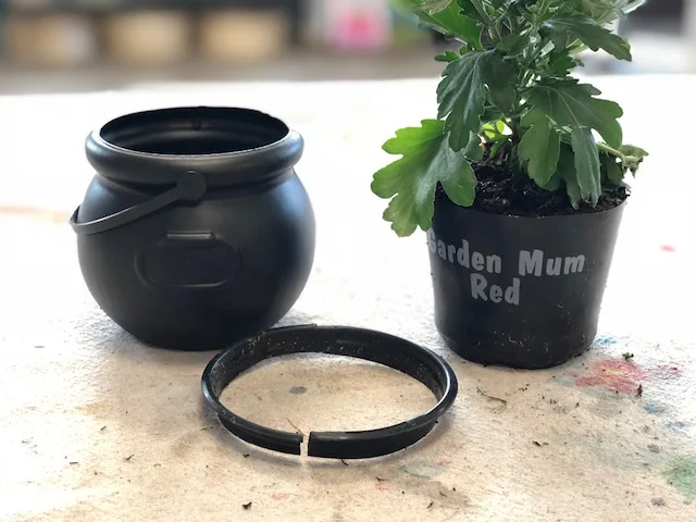 Easy and adorable mini mum planters for less than $2, get the look with this tutorial